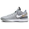 Zoom LeBron Nxxt Gen EP 'Wolf Grey Metallic Gold' Men's DR8788-004