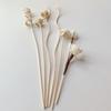 5 Pièces/6 Pièces Bâtonnets Parfumés aux Fleurs Aromathérapie Sans Flamme Bâtonnets en Rotin Diffuseur de Parfum Décoration d'Intérieur DIY