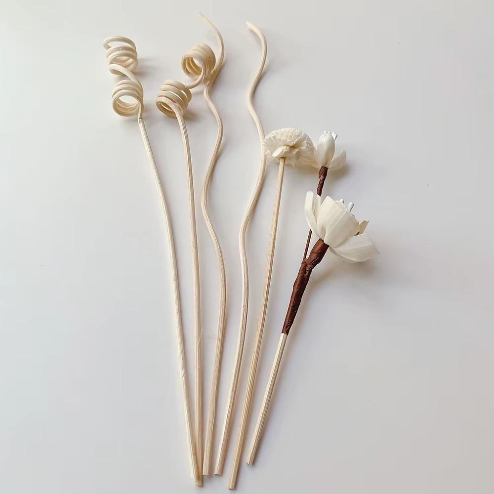 5 Pièces/6 Pièces Bâtonnets Parfumés aux Fleurs Aromathérapie Sans Flamme Bâtonnets en Rotin Diffuseur de Parfum Décoration d'Intérieur DIY