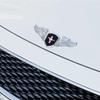 Car Front Hood Emblem Sticker Badge for Ford Mustang Shelby Mustang Kuga Mondeo Explorer Ecosport Galaxy Transit Focus 2 Ranger