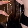 Elegante Silbernadel Diamant Quasten Ohrringe - Minimalistische Stecker für einen raffinierten europäischen und amerikanischen Stil.