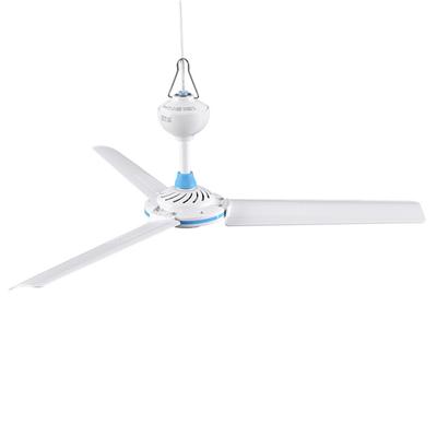 Dreiflügeliger kleiner Deckenventilator, 500 mm, 220 V, US-Standard, zweipoliger Stecker