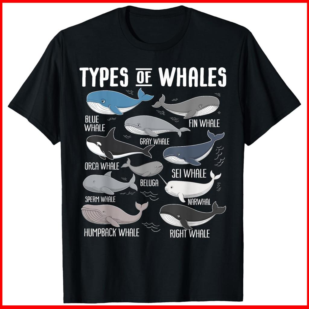 Cute Types Of Whales Ocean Mammals Guide Whale Black Cotton T-Shirt S-5XL