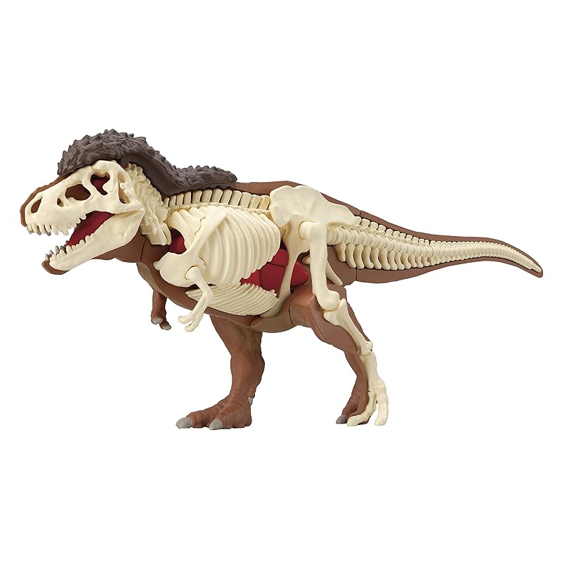 

Deconstruction puzzle science Tyrannosaurus Restoration Puzzle