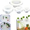 Plastic Hydroponic Planting Basket Floating Water Culture Planter Aquatic Plant Holder  Aquarium