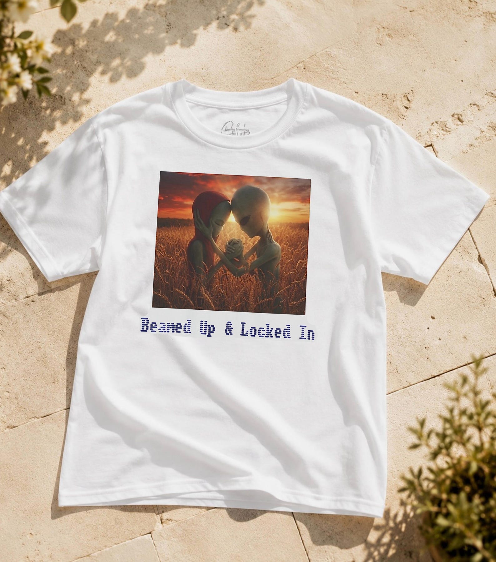 alien meme tshirt, funny tshirt, viral alien meme graphic tee, alien tshirt, alien clothing, meme tshirt, funny matching shirt M