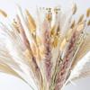 Dried Pampas Grass Dry Flowers Dried Flower Bouquet Dried Eucalyptus Pampas Grass Decor Tall Pampas White Pampas Grass
