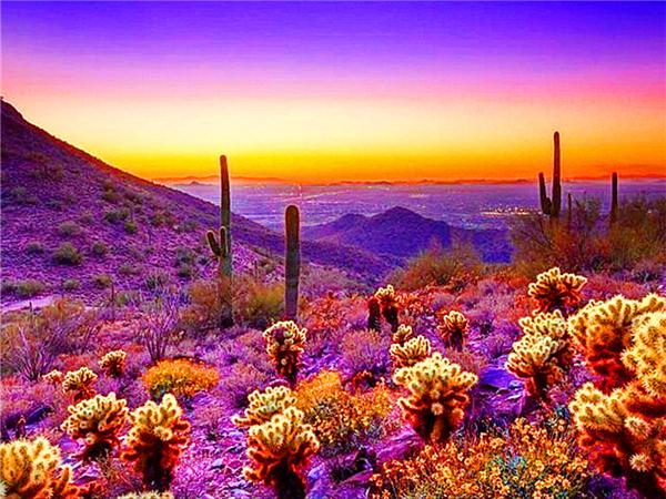 Diamond Art Painting Sunset Seaside Landscape Full Square/round Embroidery Mosaic Flower Scenery Cross Stitch Home Decor