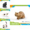 American Shorthair Pvc Cat Model Animal Toy Educational Display For Children