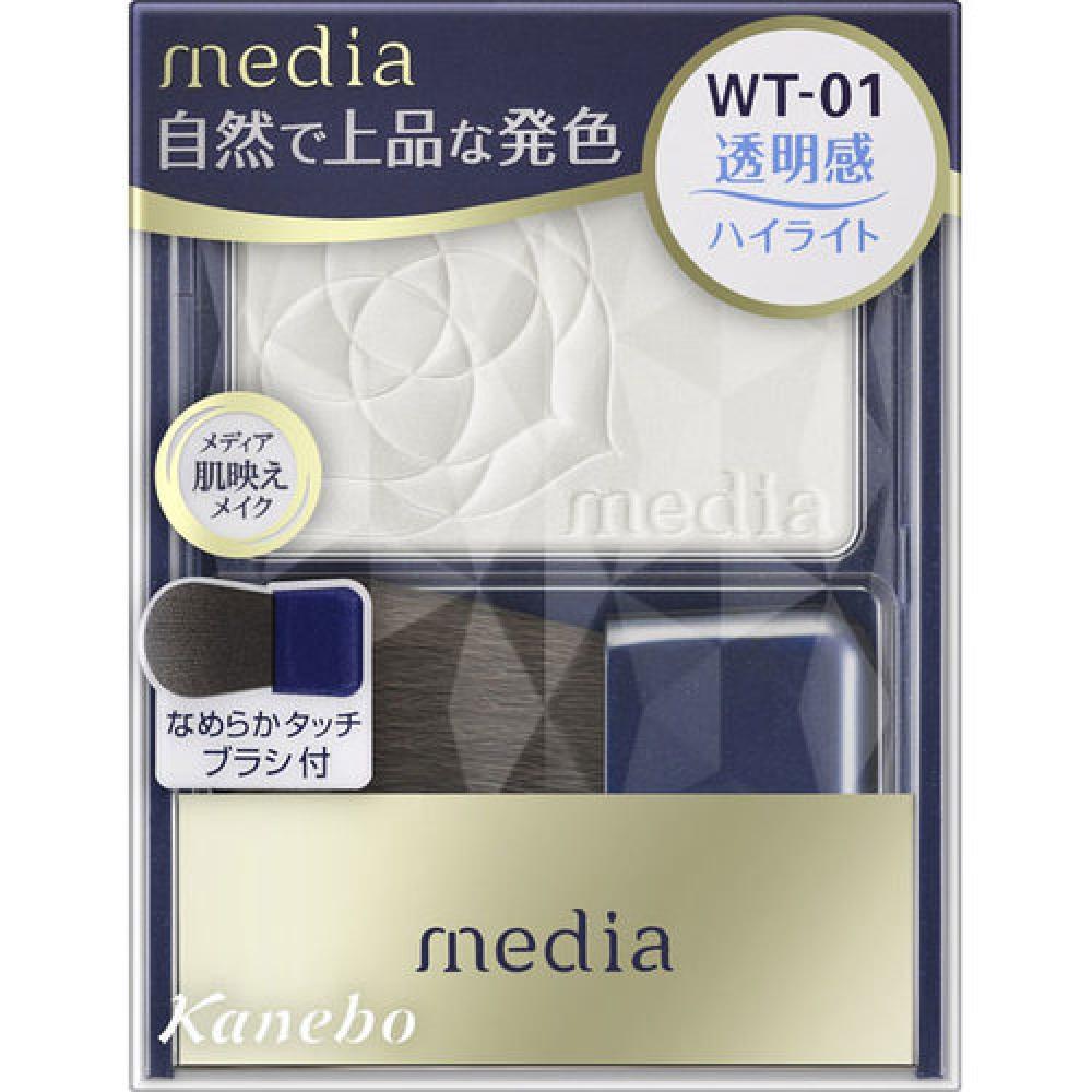 

Media Bright Up Cheek N WT-01 Белый 3,0 г