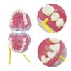 Travel Portable Oral Dental Care Brush Kit Multicolour Dental Wax Teeth Cleaning Tool Foldable Interdental Brush Floss