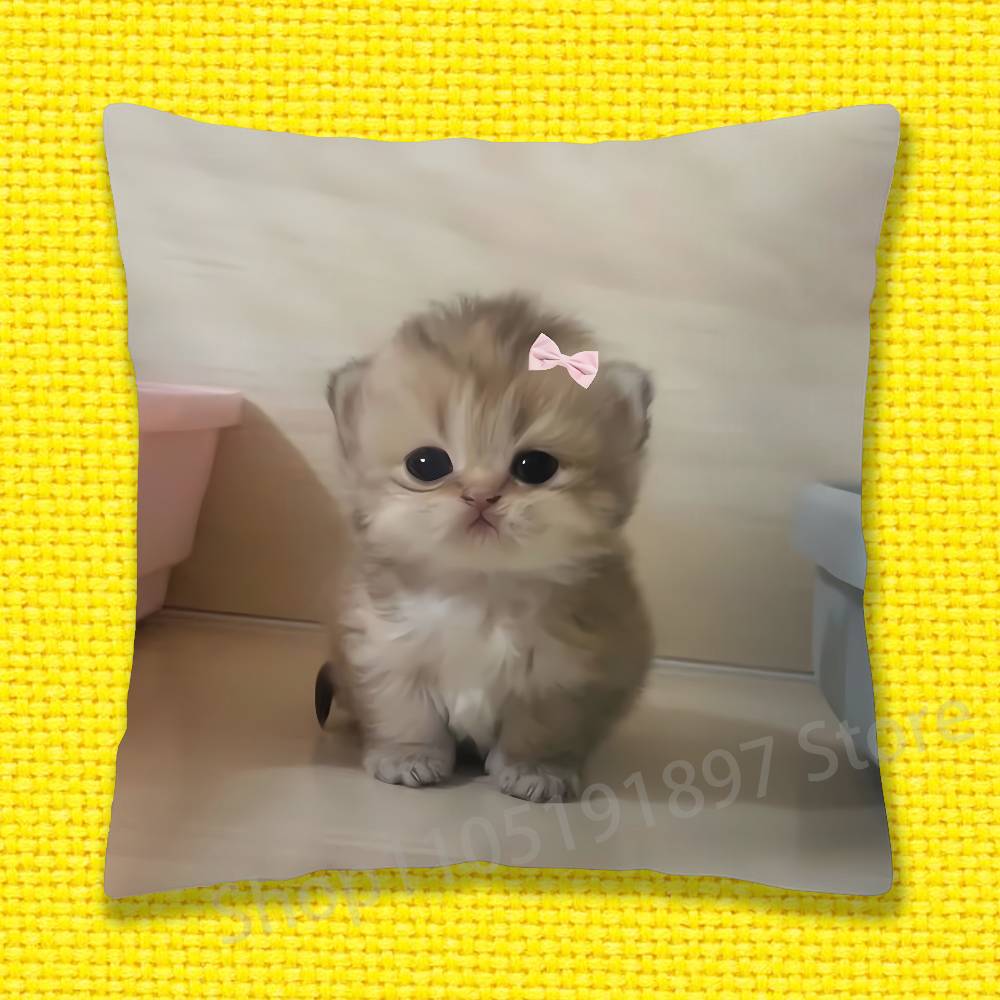 Cat Pet Cute Funny Throw Pillow Case For 45x45cm 40x40cm 30x30cm 50x50cm 55x55cm Square Home Pillowcase Case