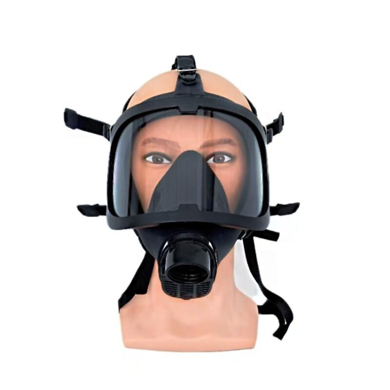 Lieve Wide-View Full-Face Gas Mask Standard