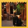 UL588 US Standard Outdoor Waterproof 100-Light Christmas String with Clear Tungsten Filament