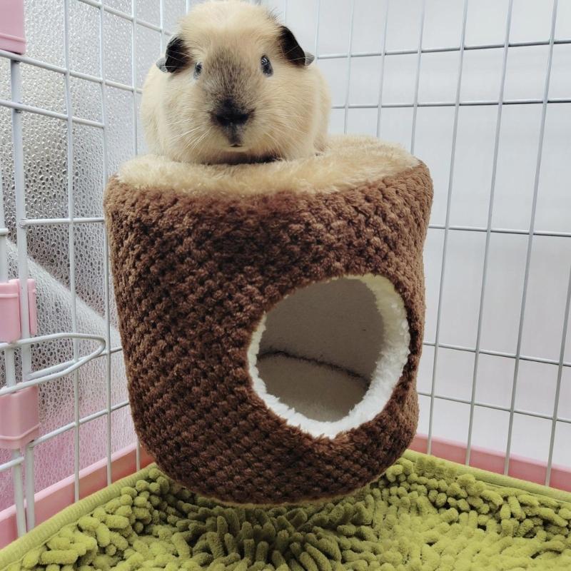 Hamster Hängematte Warmes Bett Plüschhaus Versteck für Kleintier Frettchen Igel Spielen Schlafen Klettern