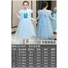 Princess Elsa Dress Women's Frozen Elsa Dress Children's Skirt Spring Sweater Birthday Dress