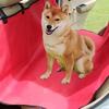 Autositzbezug für Rücksitz Hunde Auto Hängematte Rutschfester Rücksitz Hundebezug Kratzfest Haustiersitzschoner für Autos LKWs