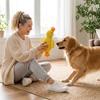 Plüsch Hundespielzeug Quietschendes Kauspielzeug Langlebiges Weiches Stofftier für Haustiere Interaktives Spiel und Stressabbau