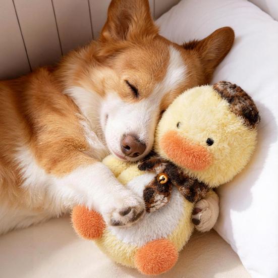 Squeaky Plush Dog Toy Bite-Resistant Chew Toys for Duck Shape Puppies Medium Dogs Interactive Play Toys
