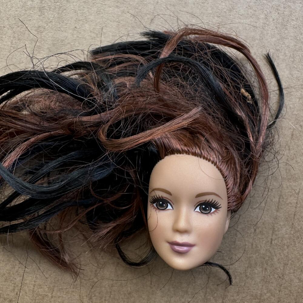 1/6 Doll Heads Rare Face White Beige Brown Skin Tone