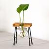 Heart Shape Glass Hydroponic Vase Flower Plant Pot Wooden Tray Desk Decoration