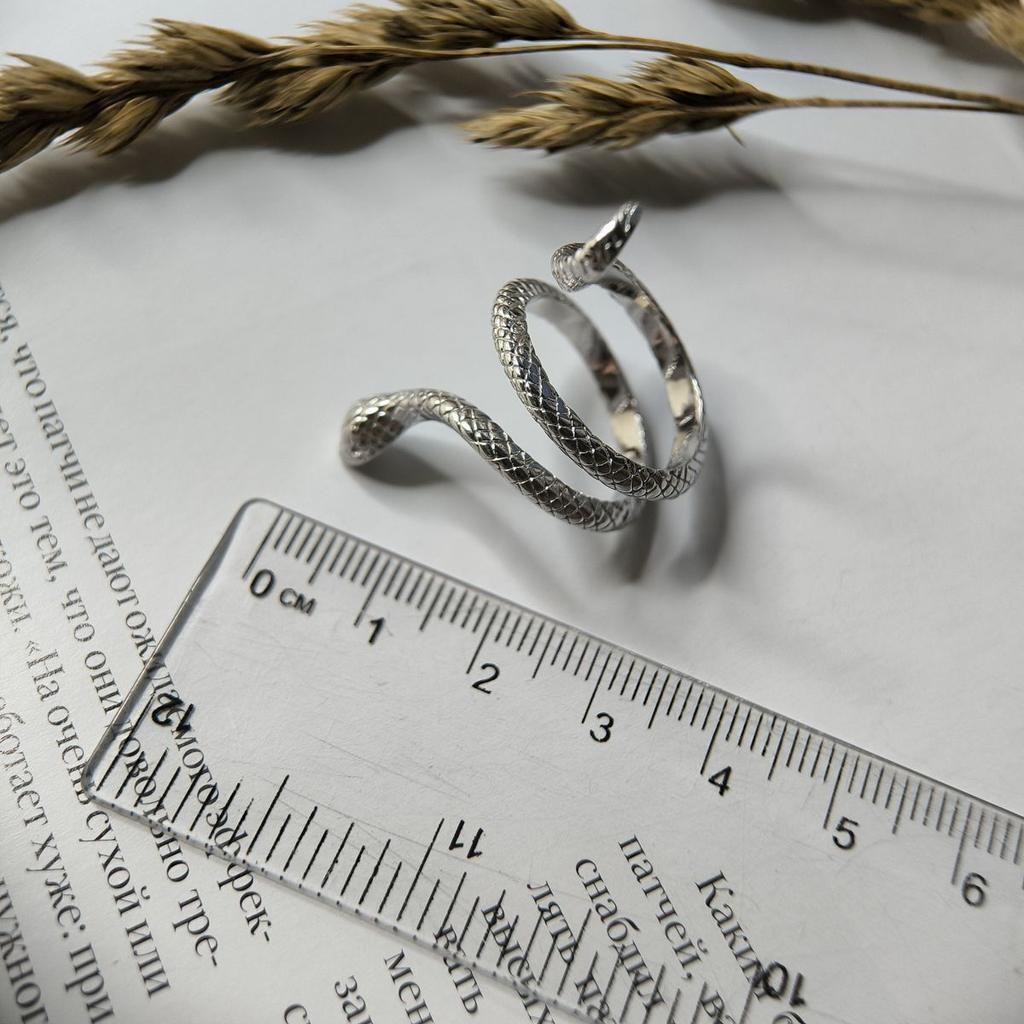 Silberring ohne Steine, Produktgewicht 6,68 g (2177555)