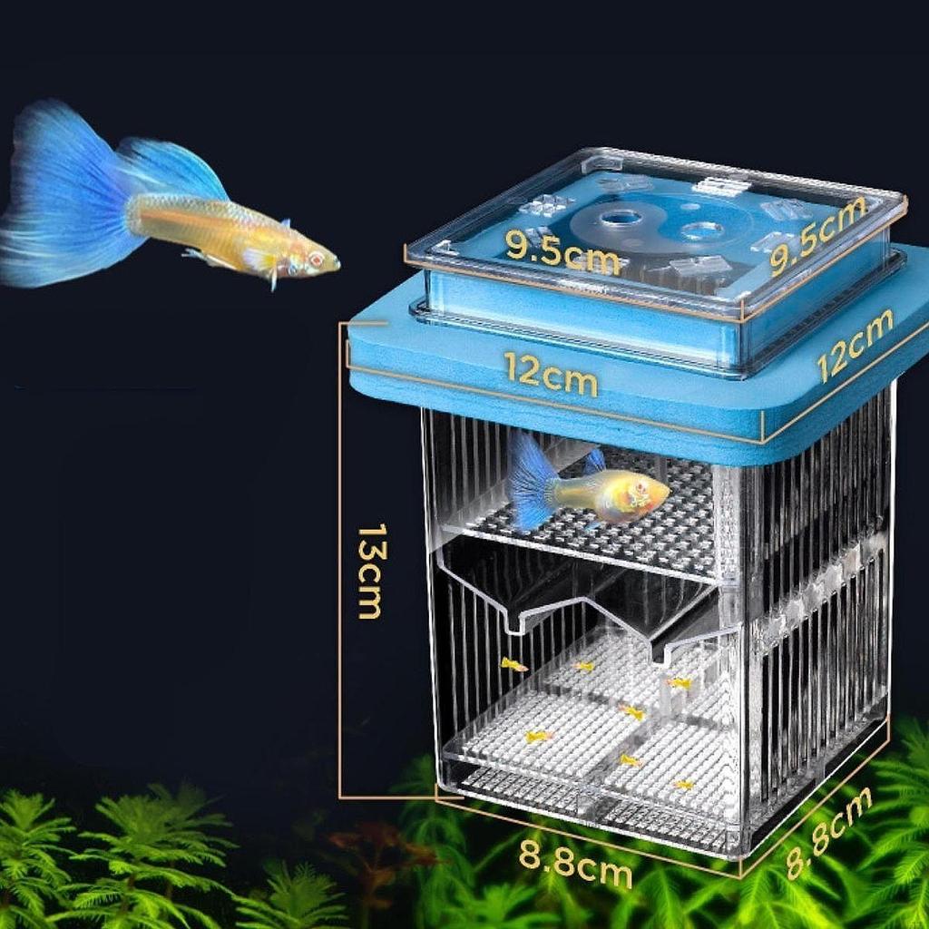Fish Breeder Box Aquarium Hatchery Clear Frame Large Capacity Acclimation Case Tank Divider for