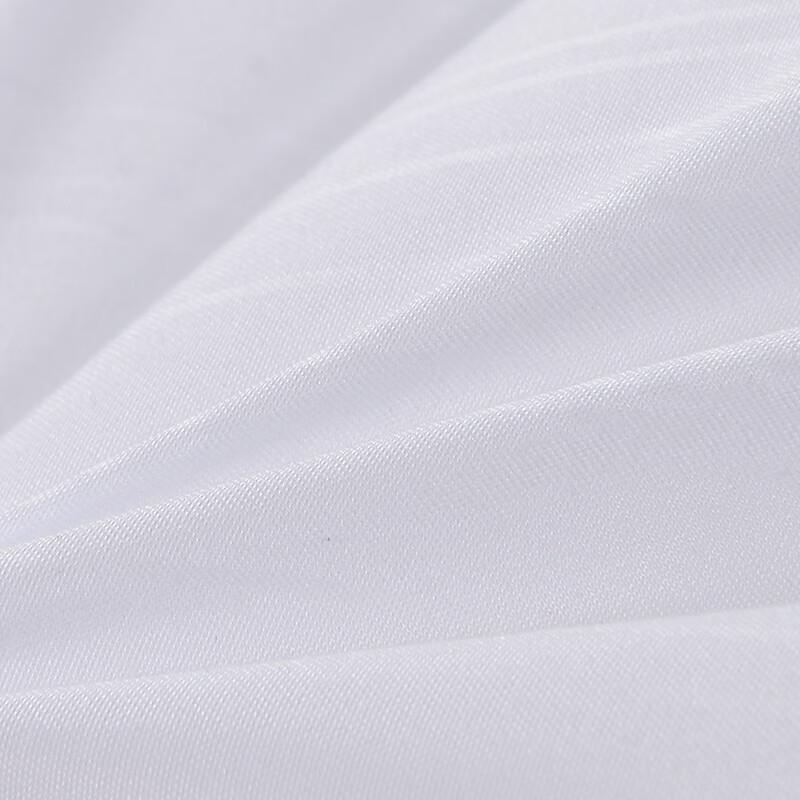 Fuanna Core Dream Antibacterial All-Season Quilt