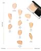 KANEBO Melty Feel Wear II 250 Ocher D Leicht Sophisticated Natürliche Haut Fruchtig Blumiger Duft Foundation, 11g, Zimt, Finish, Gefühl,