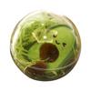 Clear Christmas Bobo Ball with Preserved Flowers - Korean Style Gift Packaging