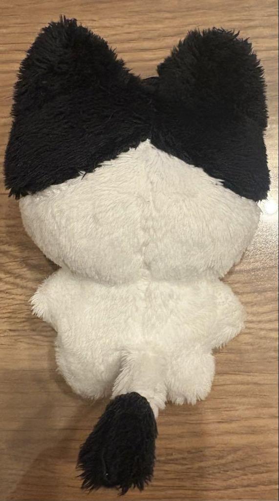 [USED] Today's Limited Price ENHYPEN Jungwon Yang Comic Plush Toy Master