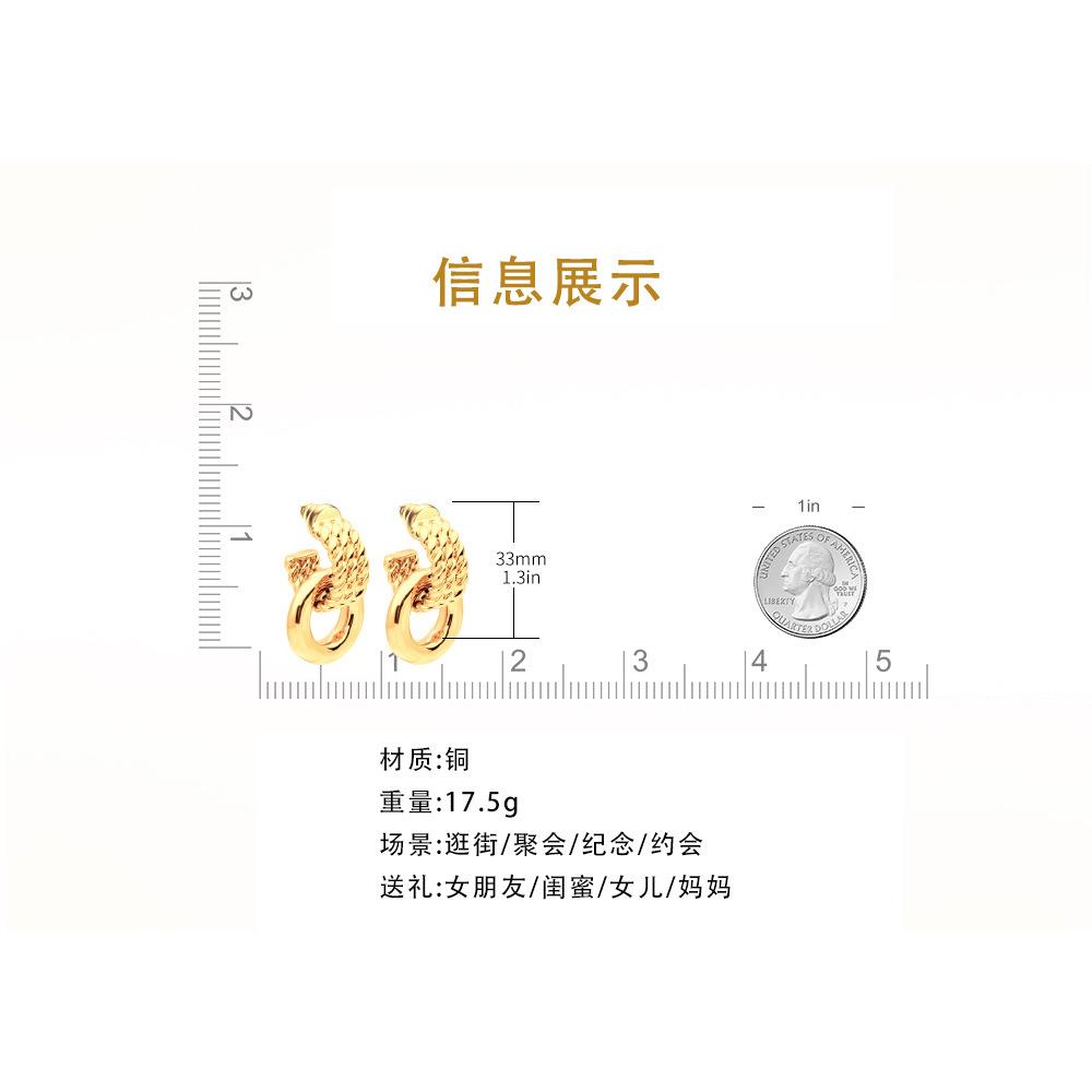 Earrings ins cold wind earrings women's autumn earrings exaggerated new European and American fashion temperament personalized high-end earrings