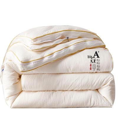 Muji 2-in-1 Soy Fiber Winter Duvet