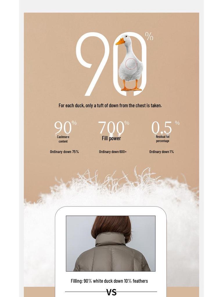 2024 Women's Winter Lightweight Short Down Jacket – Petite, Casual, Stand-Up Collar, White Duck Down