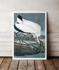 Vintage Poster Large Bird