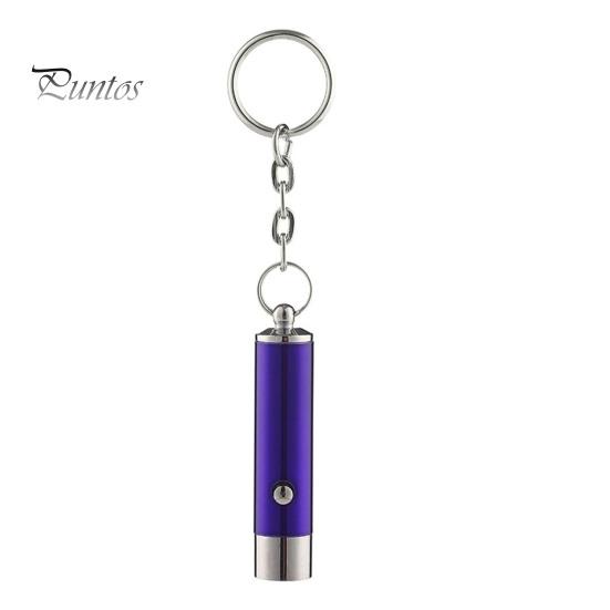 UV Flashlight Keychain Mini Battery Operated Portable Multifunctional Anti-fake Money Detection Metal Black Lamp Torch Key Ring Backpack Supplies