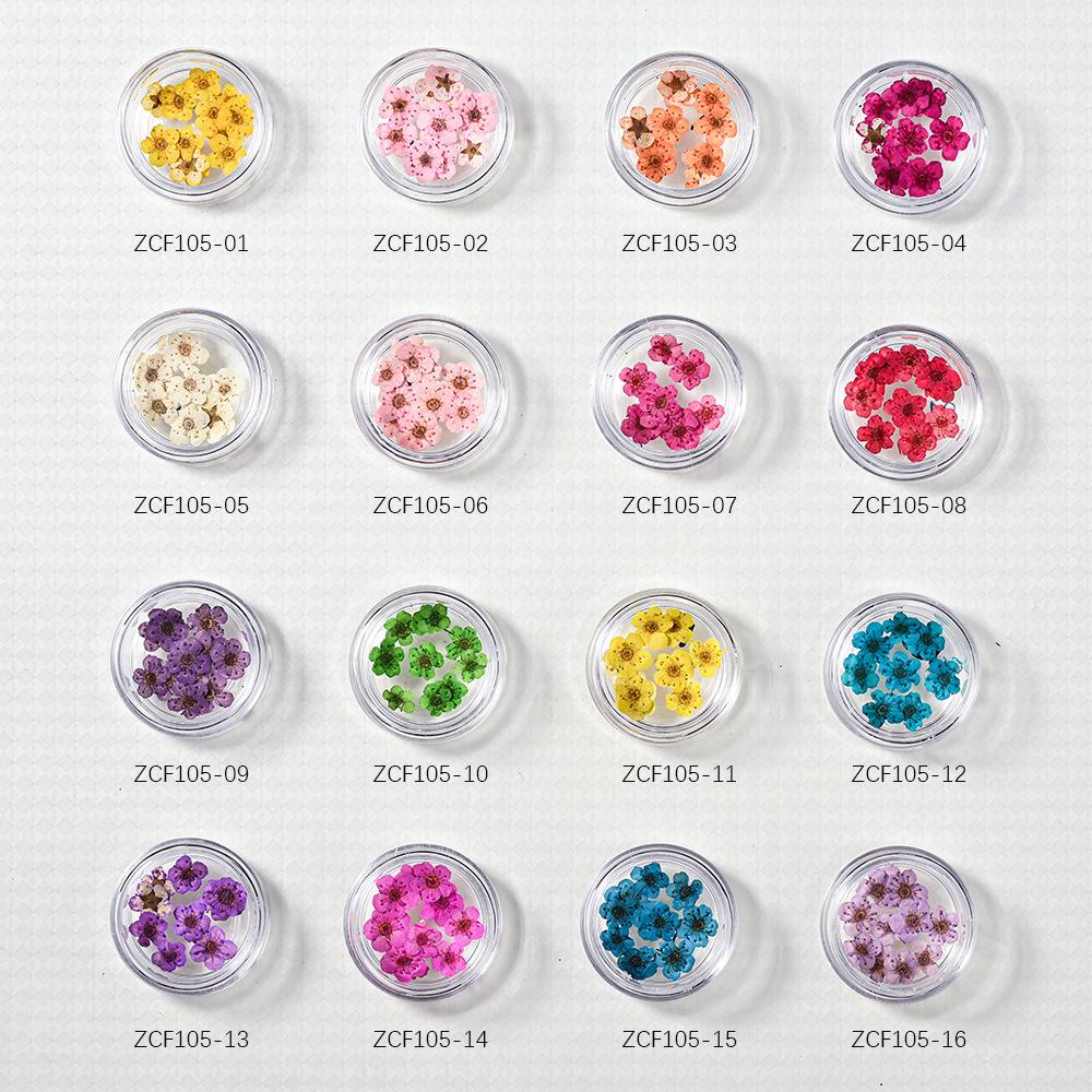 10PCS/Box Small Daffodil Dried Flower for Nail Art Decorations Natural Real Pressed Flower Making up Phone Case Mold Making