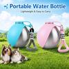 Tragbare Hundewasserflasche, Edelstahl Reise-Haustierwasserspender Silikon Faltbarer Napf Auslaufsicher Kleine Hundewasserflasche