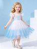 Princess Elsa Lace Dress - Cute & Stylish Short Sleeve for Girls