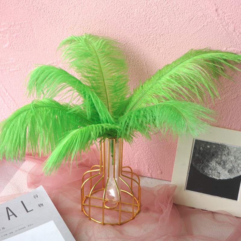 Color 20-25Cm Ostrich Hair Vase Ornament Wall Feather Decoration Hand Bouquet Flower Arrangement Diy Material