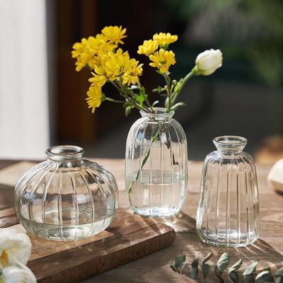 Transparente Glasvase Kleine Trockenblumenvasen Aromatherapie-Flaschenvase Hydroponischer Blumentopf Heim Wohnzimmer Tisch Kunstdekor