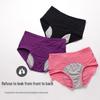 High-Waist Leak-Proof Mesh Underwear for Periods - Plus Size Women's Panties