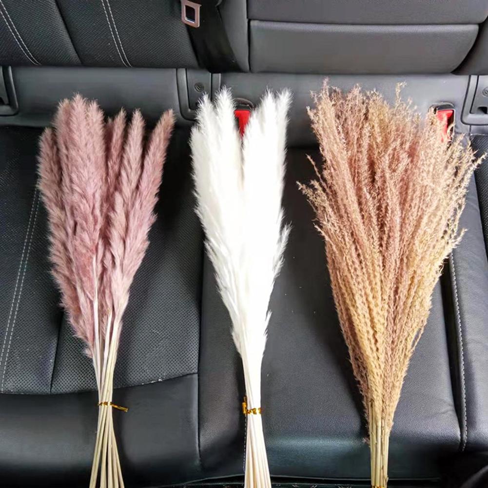 1 Bunch Dried  Reed Flowers Natural Plant Dried Pampas Grass Ornaments For Living Room Dining Tables Party Hallways Decoration