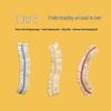 Chahua Elastic Food Storage Covers