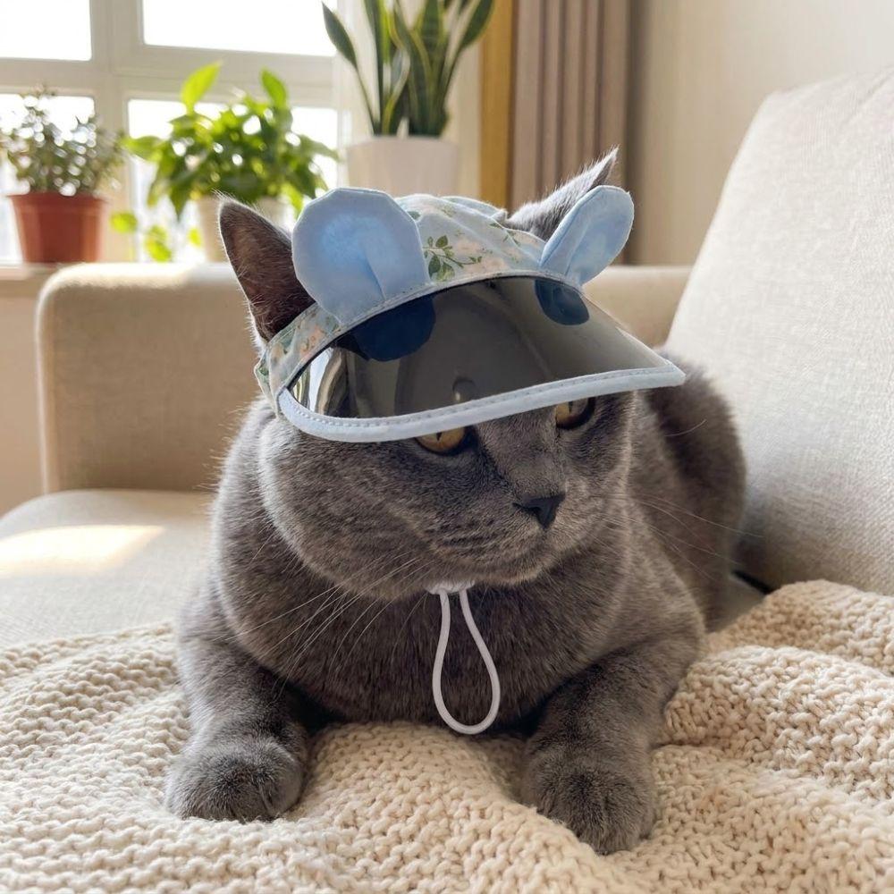 Breathable Dog Sunscreen Hat Adjustable UV Protection Cat Sunshade Cap with Ear Holes Colorful Print Dog Visor Hats Travel Use
