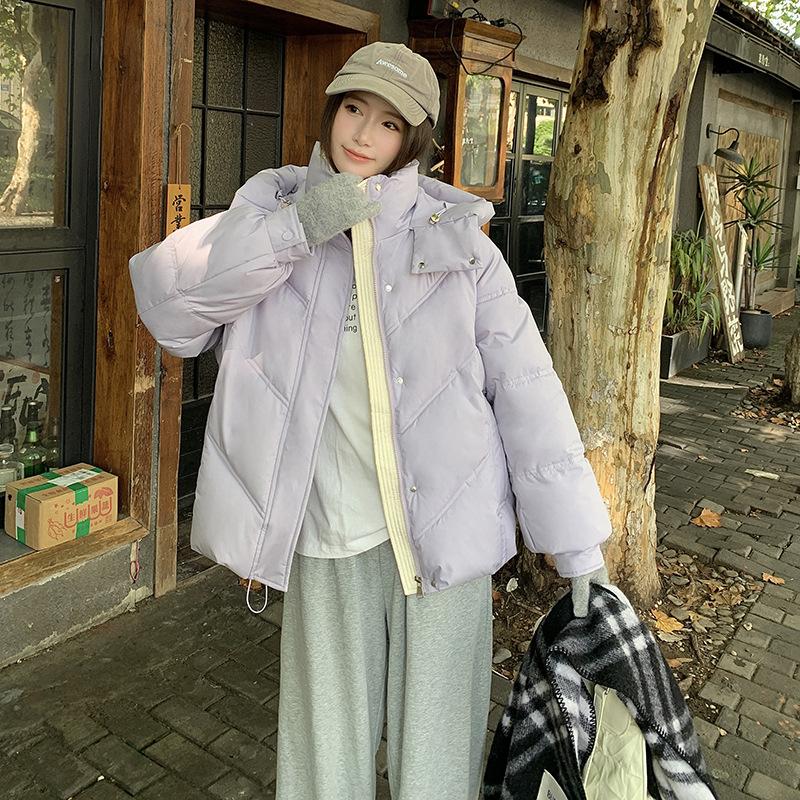 Ladies Hooded Cotton-padded Jacket New Winter Joker Short Padded Jacket.