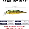 Lucky Craft Pointer 65 Freeze Aurora Gold Northern Fishing Lure Minnow [Bee 65SP] (884 Perch)