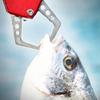 Portable Fish Control Clamps Fishing Pliers Nonslip Handle Metal Fishing Pliers Fishes Lip Gripper Control Tool