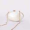 Fashion Acrylic Shell Clutch Evening Bag Shoulder Crossbody Bags With Medium Size Backpack Women Luxury Brand 2025 Shopping Cute