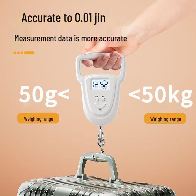 Portable Digital Hanging Scale